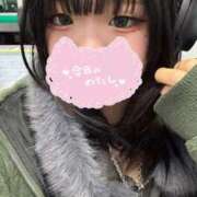 ヒメ日記 2025/04/01 17:00 投稿 ろむ ウルトラグレイス24