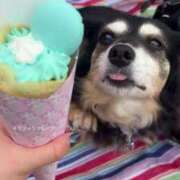 ヒメ日記 2025/04/29 00:00 投稿 ろむ ウルトラグレイス24