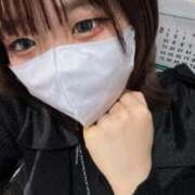 ヒメ日記 2025/06/04 13:30 投稿 ろむ ウルトラグレイス24