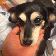 ヒメ日記 2025/06/07 19:40 投稿 ろむ ウルトラグレイス24