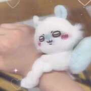 ヒメ日記 2025/06/27 11:29 投稿 ろむ ウルトラグレイス24