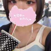 ヒメ日記 2025/07/25 13:54 投稿 ろむ ウルトラグレイス24