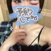 ヒメ日記 2025/08/02 11:19 投稿 ろむ ウルトラグレイス24