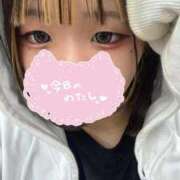 ヒメ日記 2025/09/19 19:38 投稿 ろむ ウルトラグレイス24