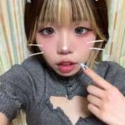 ヒメ日記 2025/10/08 13:10 投稿 ろむ ウルトラグレイス24