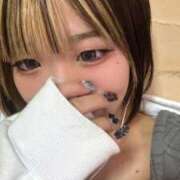 ヒメ日記 2025/10/08 13:40 投稿 ろむ ウルトラグレイス24