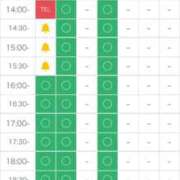 ヒメ日記 2025/10/13 09:24 投稿 ろむ ウルトラグレイス24