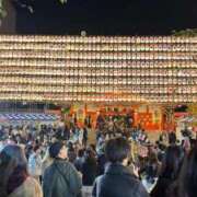 ヒメ日記 2025/11/12 09:20 投稿 ろむ ウルトラグレイス24