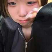 ヒメ日記 2025/11/15 17:26 投稿 ろむ ウルトラグレイス24