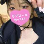 ヒメ日記 2025/11/29 16:44 投稿 ろむ ウルトラグレイス24