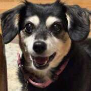 ヒメ日記 2025/11/29 21:50 投稿 ろむ ウルトラグレイス24