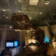 安藤 お休みの日🌱 鶯谷人妻城