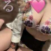 ヒメ日記 2024/12/28 16:24 投稿 はる ジャパンクラブ富士