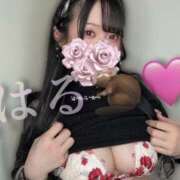 ヒメ日記 2025/03/02 12:52 投稿 はる ジャパンクラブ富士