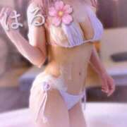 ヒメ日記 2025/03/03 15:02 投稿 はる ジャパンクラブ富士