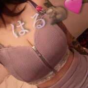 ヒメ日記 2025/04/10 00:12 投稿 はる ジャパンクラブ富士