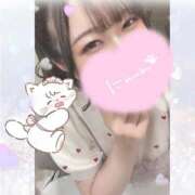 ヒメ日記 2025/04/10 11:52 投稿 はる ジャパンクラブ富士