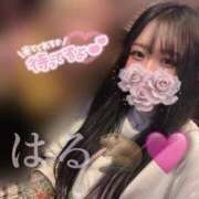 ヒメ日記 2025/04/27 15:42 投稿 はる ジャパンクラブ富士