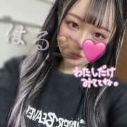 ヒメ日記 2025/04/29 09:28 投稿 はる ジャパンクラブ富士