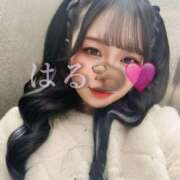 ヒメ日記 2025/05/04 10:11 投稿 はる ジャパンクラブ富士