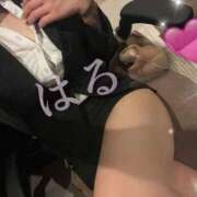 ヒメ日記 2025/05/18 13:52 投稿 はる ジャパンクラブ富士