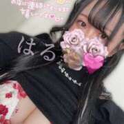 ヒメ日記 2025/06/06 17:52 投稿 はる ジャパンクラブ富士