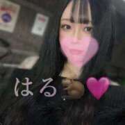 ヒメ日記 2025/06/07 06:32 投稿 はる ジャパンクラブ富士