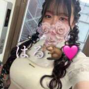 ヒメ日記 2025/06/17 07:12 投稿 はる ジャパンクラブ富士