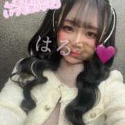 ヒメ日記 2025/06/27 17:28 投稿 はる ジャパンクラブ富士