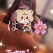 ヒメ日記 2025/07/03 20:02 投稿 はる ジャパンクラブ富士