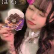 ヒメ日記 2025/09/02 17:42 投稿 はる ジャパンクラブ富士