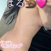 ヒメ日記 2025/10/11 13:54 投稿 はる ジャパンクラブ富士