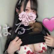 ヒメ日記 2025/10/12 17:42 投稿 はる ジャパンクラブ富士