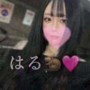 ヒメ日記 2025/10/24 19:22 投稿 はる ジャパンクラブ富士