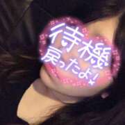 ヒメ日記 2024/12/14 15:52 投稿 伊澄（いずみ） NOA（ノア）