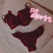 ヒメ日記 2024/12/19 19:37 投稿 伊澄（いずみ） NOA（ノア）