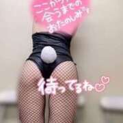 伊澄（いずみ） 今日も🫶🏻 NOA（ノア）