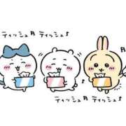 ヒメ日記 2025/03/25 12:03 投稿 しおん 渋谷とある風俗店♡やりすぎコレクション