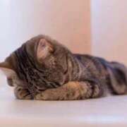 ヒメ日記 2026/01/30 18:08 投稿 【あんり】一瞬で一目惚れ おねだり宮崎