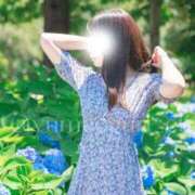 ヒメ日記 2025/06/26 11:30 投稿 小栗ゆめ Etoile（エトワール）