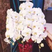 ヒメ日記 2025/07/13 11:31 投稿 小栗ゆめ Etoile（エトワール）