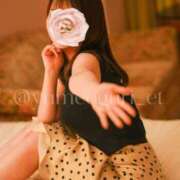 ヒメ日記 2025/10/01 11:30 投稿 小栗ゆめ Etoile（エトワール）