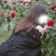 ヒメ日記 2025/12/27 11:30 投稿 小栗ゆめ Etoile（エトワール）