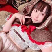 ヒメ日記 2025/12/19 16:55 投稿 ぬい ニューグランド