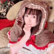 ヒメ日記 2025/12/20 09:43 投稿 ぬい ニューグランド