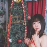 ヒメ日記 2025/12/25 10:27 投稿 ぬい ニューグランド