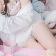 ヒメ日記 2026/01/28 06:53 投稿 ぬい ニューグランド