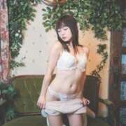 ヒメ日記 2026/02/06 09:03 投稿 ぬい ニューグランド