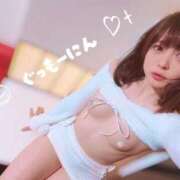 ヒメ日記 2026/03/04 10:23 投稿 ぬい ニューグランド