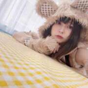 ヒメ日記 2026/03/06 11:43 投稿 ぬい ニューグランド